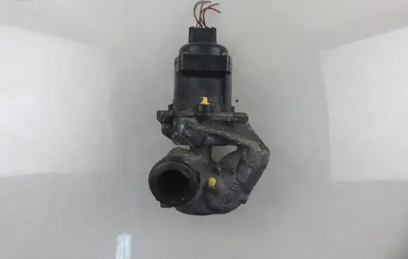EGR valve