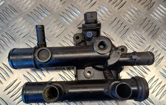 Thermostat/thermostat housing