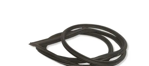 BMW 1 E82 E88 Front door rubber seal 