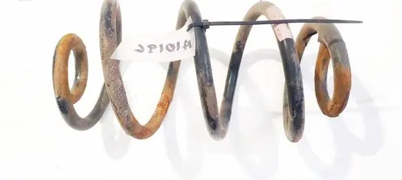 Rear coil spring