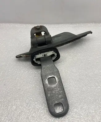 BMW X6 E71 Tailgate/trunk/boot hinge 7175830