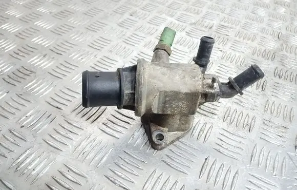 Thermostat/thermostat housing