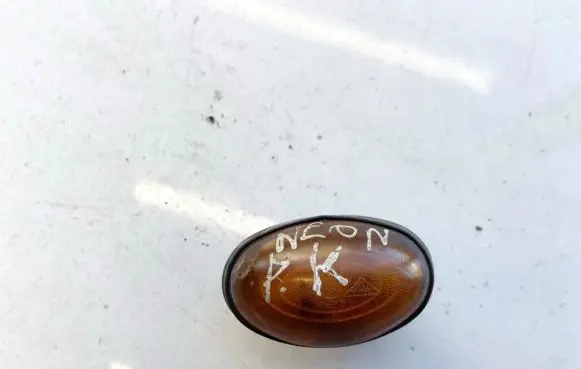 Front fender indicator light