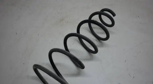 Rear coil spring