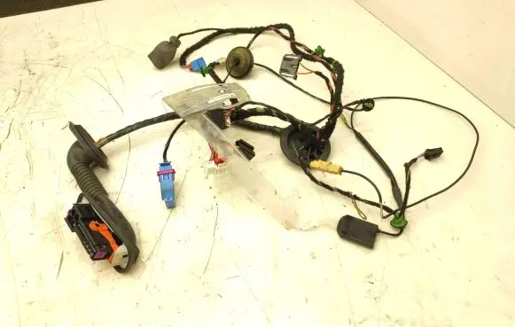 Man TGE 1gen Front door wiring loom 7C2971120M 7C0035532
