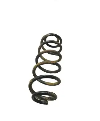 Volkswagen Golf V Rear coil spring