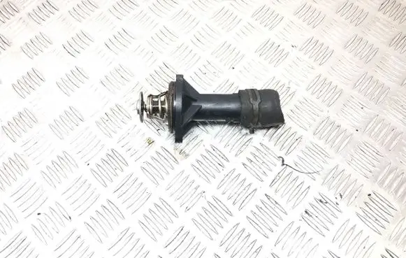Thermostat/thermostat housing