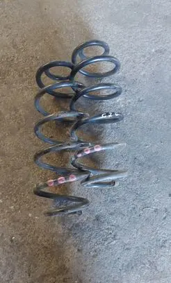 Rear coil spring