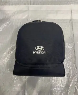 Hyundai Santa Fe Electric car charging cable 