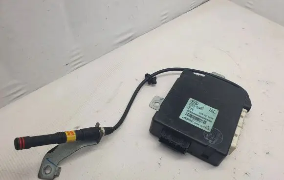 KIA Sorento Other devices 954003E310