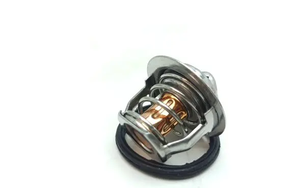 Aixam Coupe Thermostat 1532173014