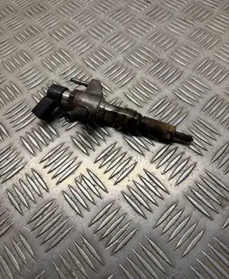 Peugeot 5008 Fuel injector 9674973080 50274V05 66980