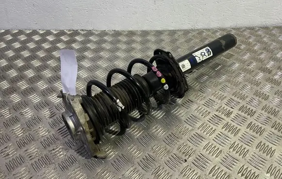 Volkswagen ID.4 Front shock absorber with coil spring 1EA412021BN