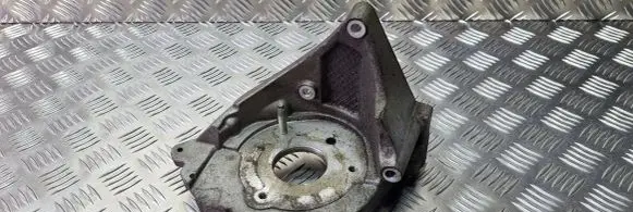 Citroen Berlingo Fuel pump bracket 96389217