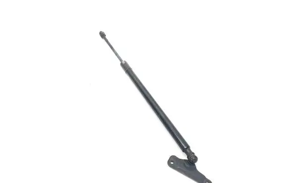 Tailgate strut