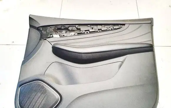 MG HS Front door card panel trim 10536179