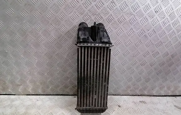 Citroen DS3 Intercooler radiator 9803900780 CV448004 0272314