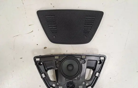 Panel speaker