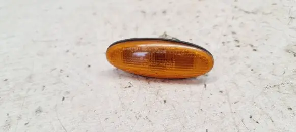 Front fender indicator light