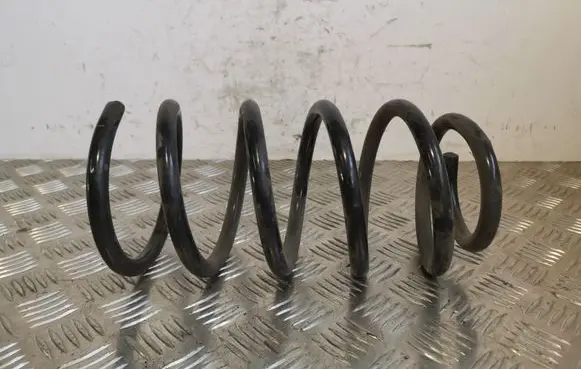 Hyundai Santa Fe Rear coil spring