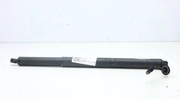 Tailgate/trunk strut/damper