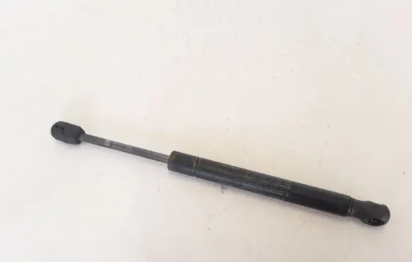 Tailgate strut