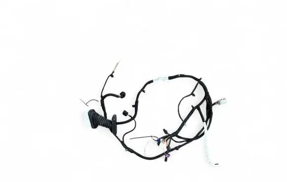 Front door wiring loom