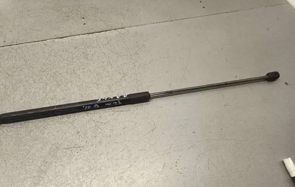 Tailgate/trunk strut/damper