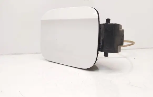 Skoda Rapid (NH) Fuel tank cap 5JA809999