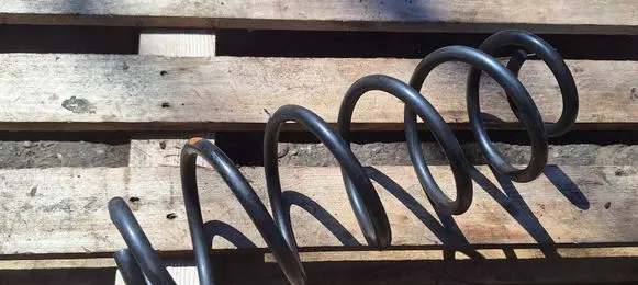 Rear coil spring