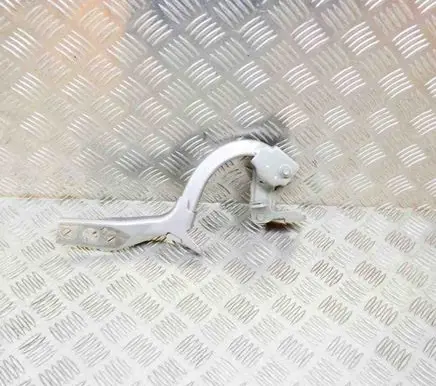 Tailgate/trunk/boot hinge
