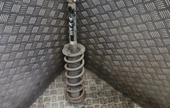 Rear shock absorber/damper