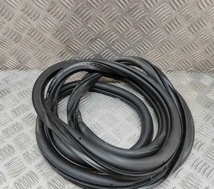 Volkswagen Golf VIII Rubber seal front coupe door 5H4867911