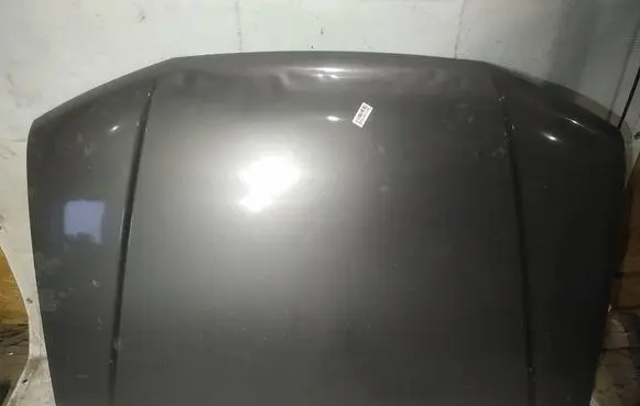 Engine bonnet/hood