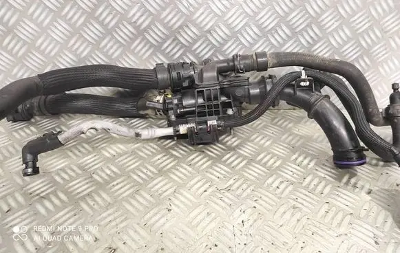 Thermostat/thermostat housing