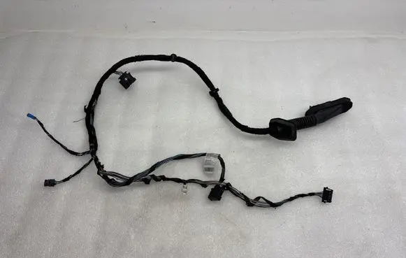 BMW X1 E84 Front door wiring loom 6925548