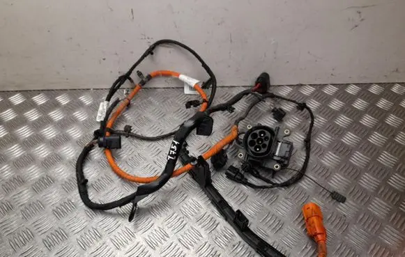 Skoda Octavia Mk4 Electric car charging cable 5E3971509