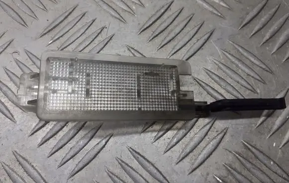 Renault Scenic II - Grand scenic II Headlining lighting console trim 8200024033
