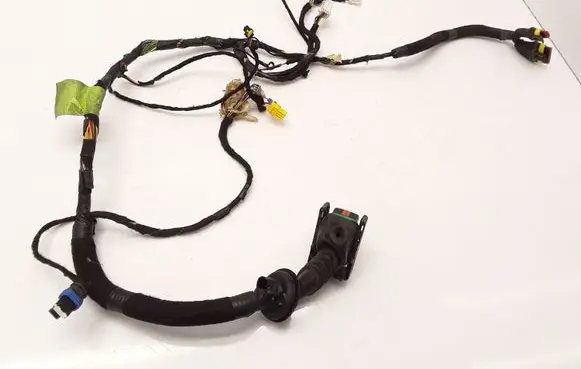 Front door wiring loom