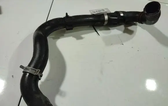 Ford Focus Engine coolant pipe/hose
