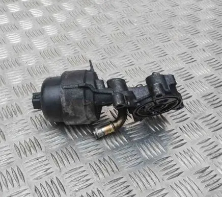Ford Galaxy Oil filter cover 9656830180