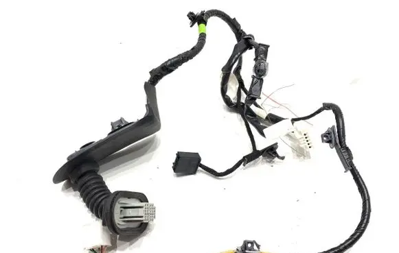 Rear door wiring loom