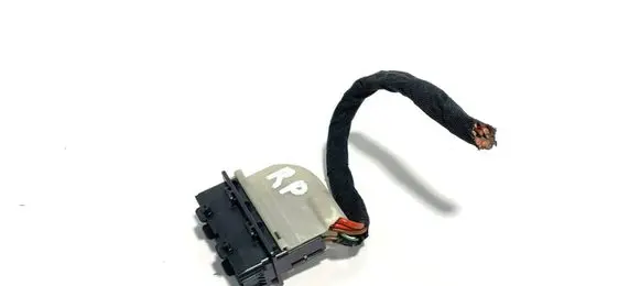 Front door wiring loom
