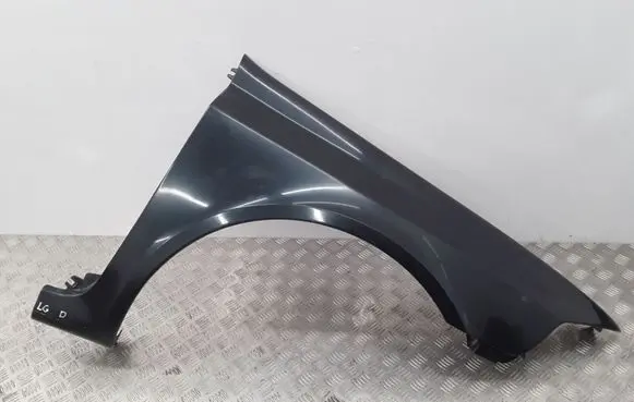 Renault Laguna II Fender