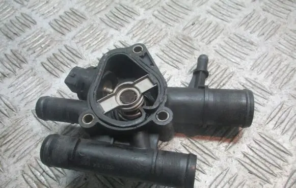 Thermostat/thermostat housing