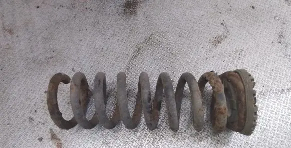 Rear coil spring