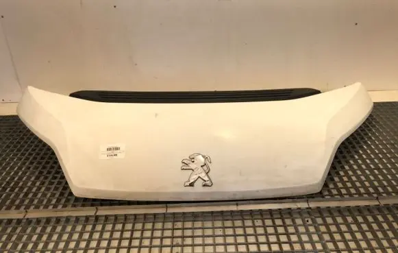 Peugeot Boxer Engine bonnet/hood 