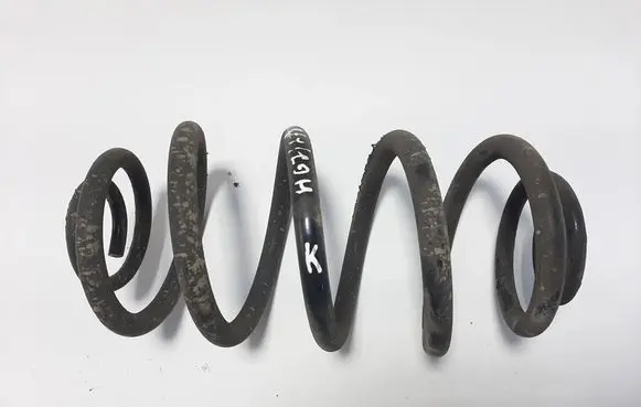 Opel Insignia A Rear coil spring 