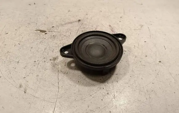 Panel speaker