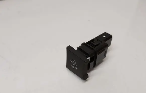 Chevrolet Captiva Cruise control relay 202010073